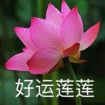 传奇遮天官方